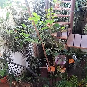 Habitación en casa particular Jungle Chill, Antigua